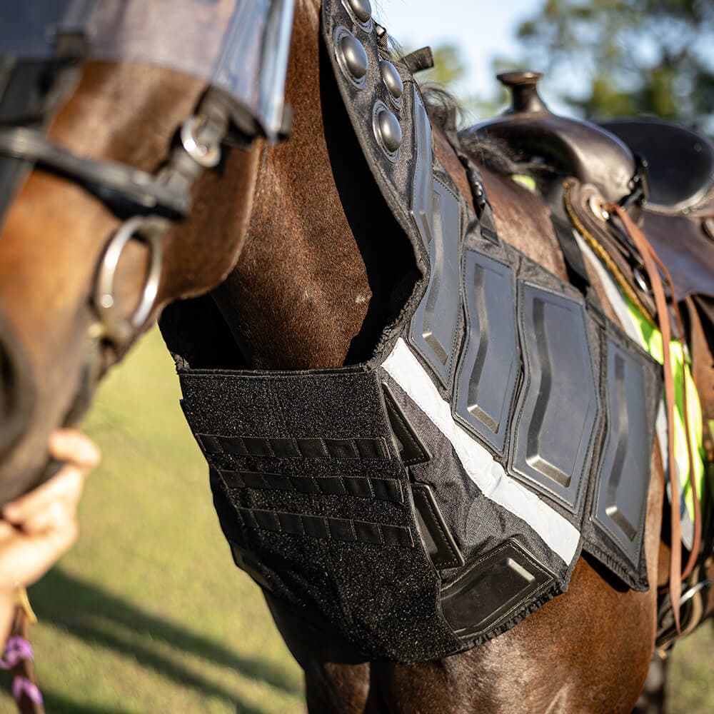 Riot Protection Collar for Horse